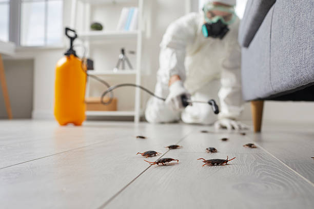 Post-Treatment Bed Bug Interceptor Monitoring in Columbia